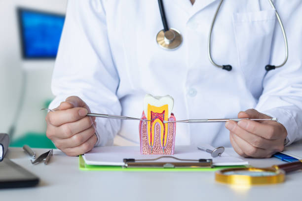 Best Emergency Wisdom Tooth Extraction in Zeeland, MI